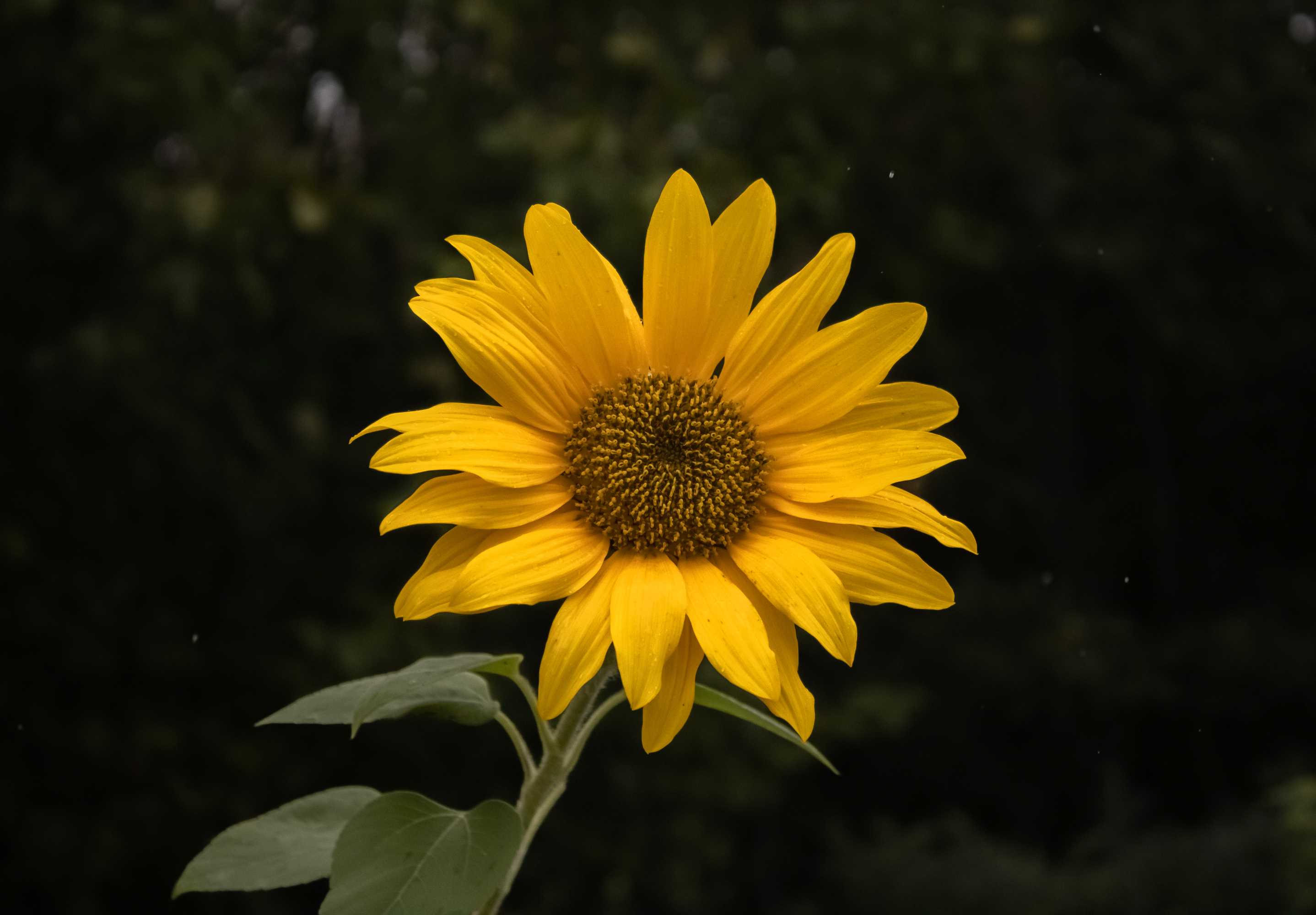 2022 Photo 4